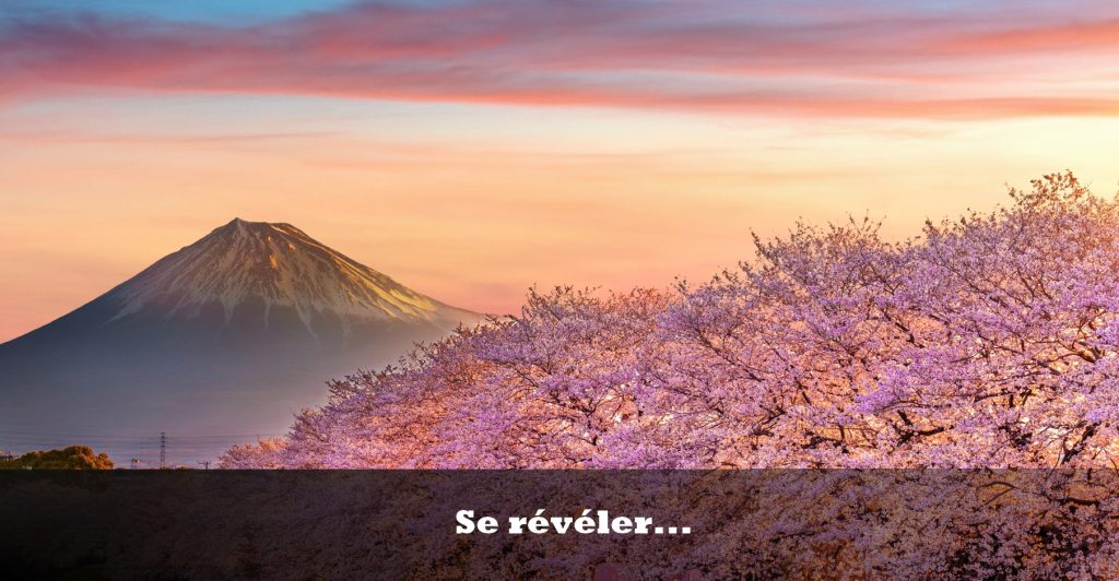 Ici se situe une image