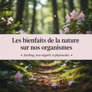 Ici se situe une image