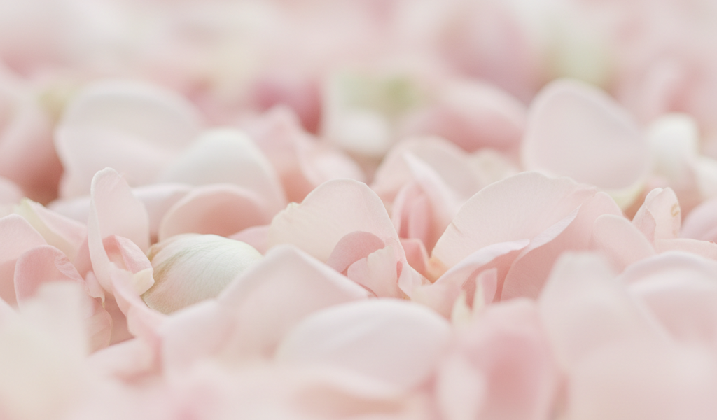 Ici se situe une image