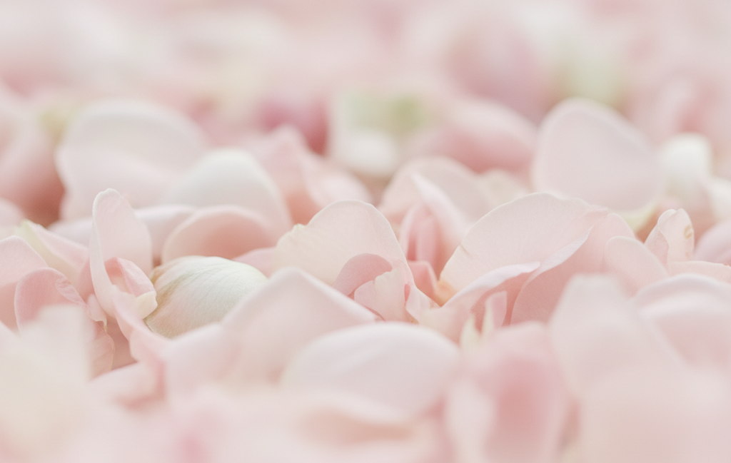 Ici se situe une image