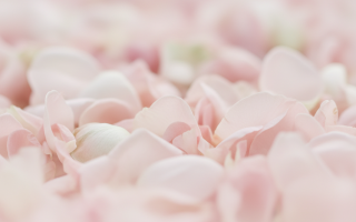 Ici se situe une image