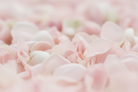 Ici se situe une image