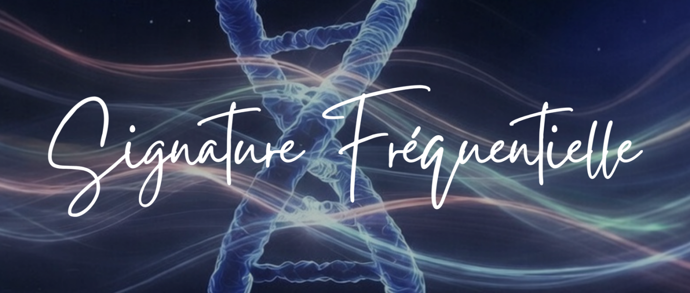 Ici se situe une image